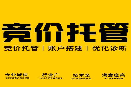 成功SEM开户：策略、执行与效果